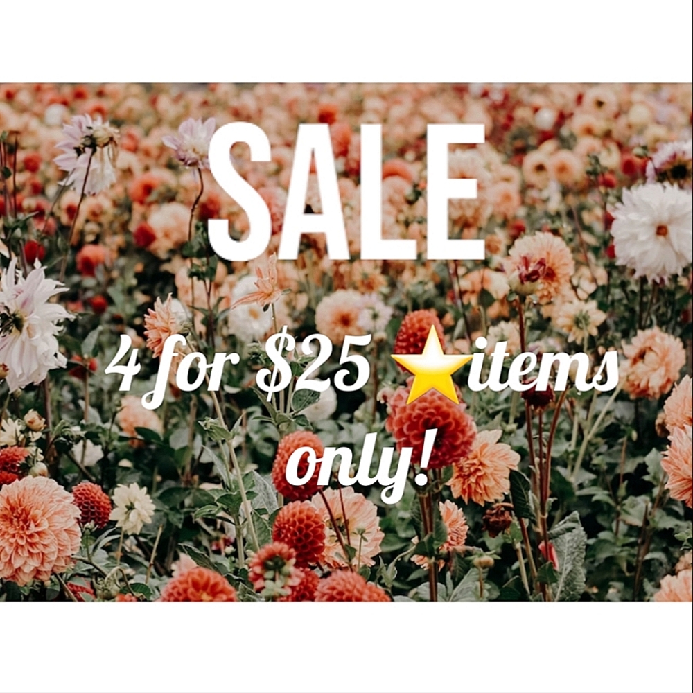 Sale items 4 for $25 ⭐️ items only